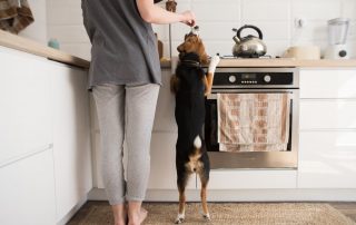 Lady in kitchen with dog (Pet-Friendly Kitche Design)